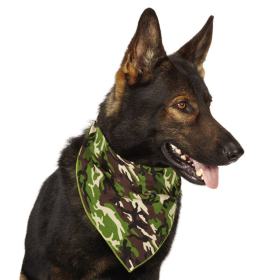 AR Camo Bandana Grn