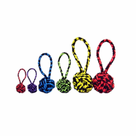 Multipet Nuts for Knots w/Tug Rope Dog Toy