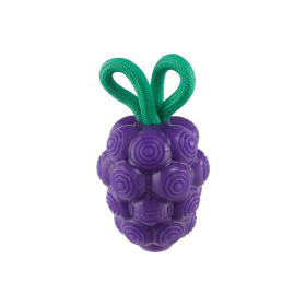 Planet Dog Dental Grapes Dog Chew Toy Purple Medium