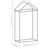 Greenhouse with Steel Frame 5.4 ft² 3.3'x1.6'x6.2'