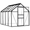 Greenhouse Anthracite Aluminum 51.1 ft²