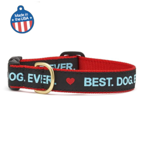 Best Dog Ever Collar or Leash (Color: Best Dog Ever, size: large)