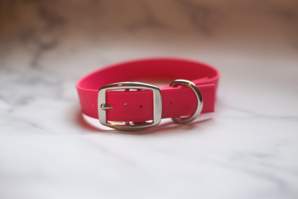 Biothane Buckle Dog Collar (Color: Red, size: Large 15-17 inches)