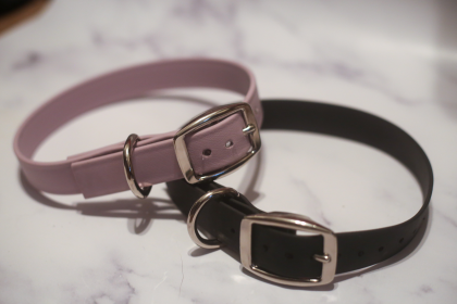 Biothane Buckle Dog Collar (Color: Lavender, size: Small 11-13 inches)