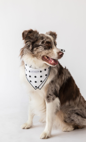 Buddy Dog Bandana (Color: Classic Dots, size: L)