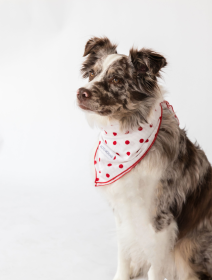 Buddy Dog Bandana (Color: Seersucker Dots, size: L)