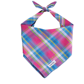 Colorful Plaid Bandana (Color: Colorful Plaid, size: small)