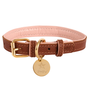 Dog Collar (Color: Bella Rose, size: small)