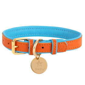 Dog Collar (Color: Vibrant Sunset, size: XL)