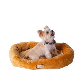 Armarkat Bolstered Pet Bed and Mat, ultra-soft Dog Bed S/M/L (size: S)