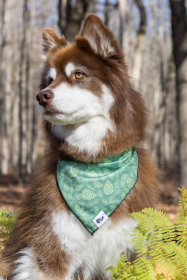 Pine Cone Pup Bandana (size: M/L - 27in x 13in)