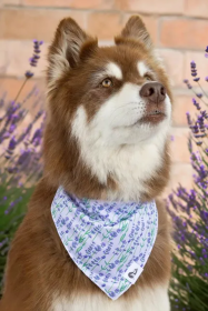 Lavender Blooms Dog Bandana (size: M/L - 27in x 13in)