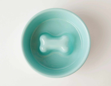 Jax & Bones Bone Slow Feeder Bowl (Color: Teal, size: small)