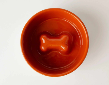 Jax & Bones Bone Slow Feeder Bowl (Color: Orange, size: small)