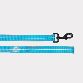 GF Pet  Reflective Leash (Color: Neon Blue, size: XS/Small)