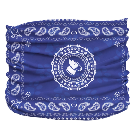 Bandana Pup Scruff (Color: Blue, size: small)